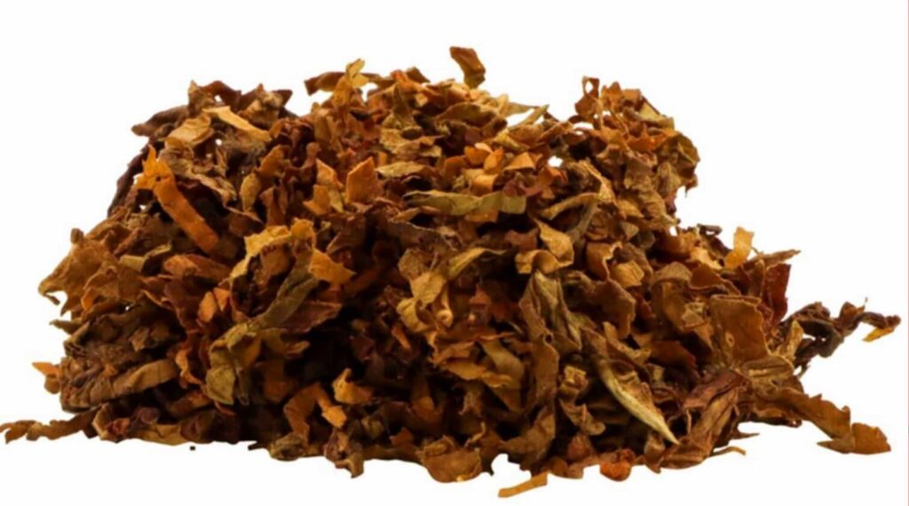 Крупный план листьев измирского табака